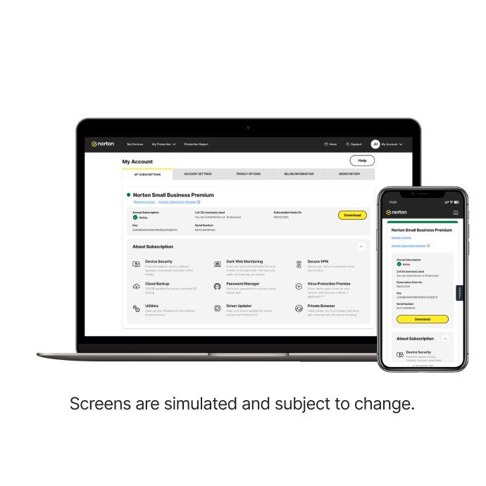 Visão geral da conta para laptop e celular